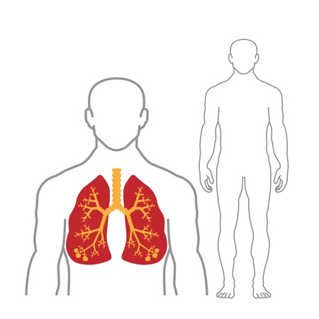 Lungs and human body outline on white backgroundのイラスト素材