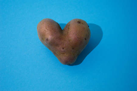 Amazing natural potato heart on a blue backgroundの写真素材