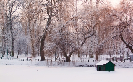 Winter scene の写真素材