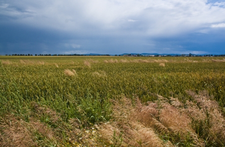 Landscape with fields before storm の写真素材