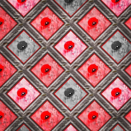 Abstract red poppy backgroundの写真素材