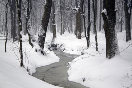 Winter landscape with riverの写真素材