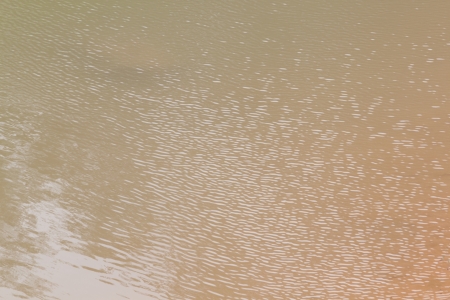 Background with liquid red clay の写真素材