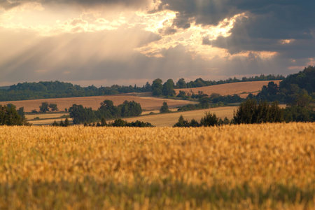 Beautiful landscape with fields and hills 