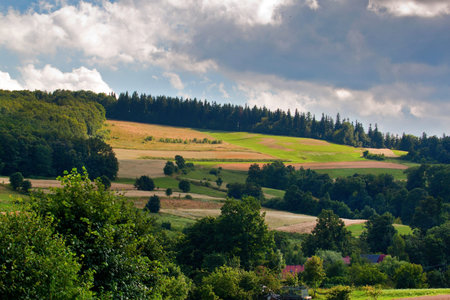 Beautiful summer 
