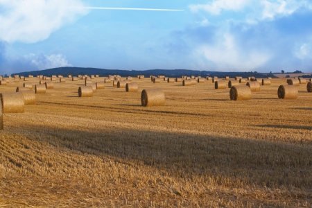 Hay bales and blue sky の写真素材