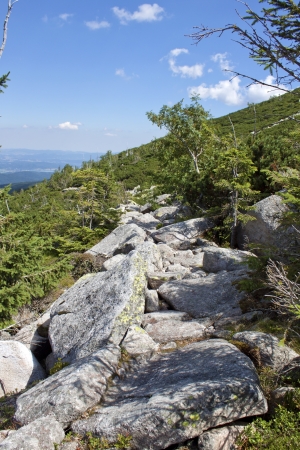Mountain trail in Karkonoszeの写真素材