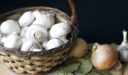 Still life with mushrooms, onion, spicesの写真素材