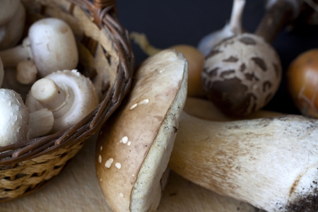 Still life with mushrooms, onion, spicesの写真素材