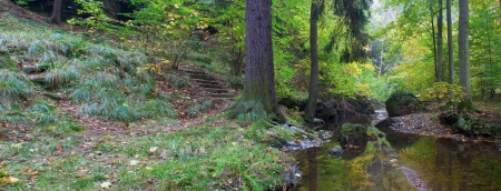 Autumn stream in the forest in sunny day の写真素材