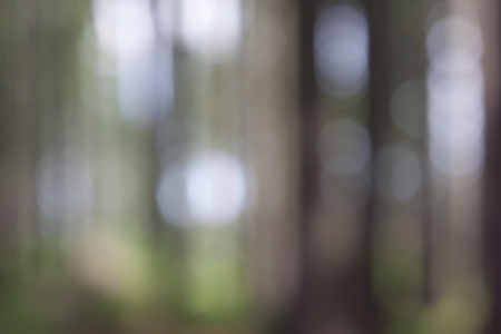 Abstract circular bokeh background の写真素材
