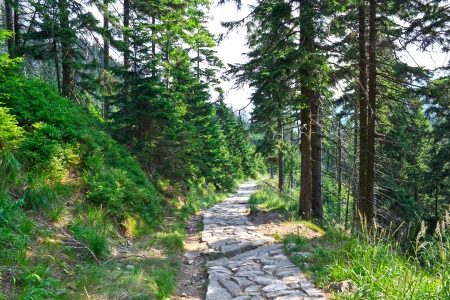 Mountain trail in Karkonosze の写真素材
