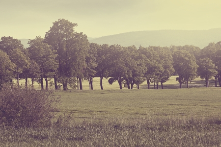 Beautiful landscape with fields and hills  - vintage styleの写真素材