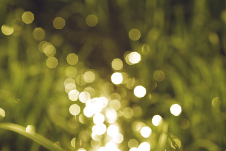 green and gold bokeh abstract background の写真素材