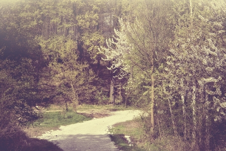 dreamy spring landscape vintage styleの写真素材