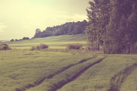 Beautiful landscape with fields and hills  - vintage styleの写真素材