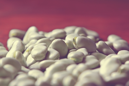 broad beansの写真素材