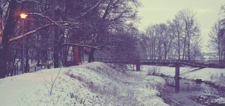 Winter river with ducks early morningの写真素材