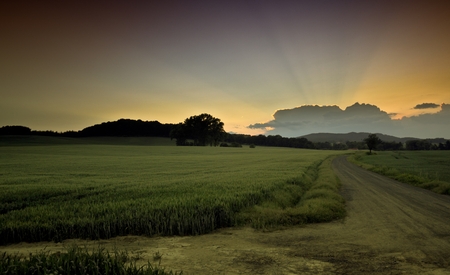 Beautiful summer sunset over the fields and forestの写真素材