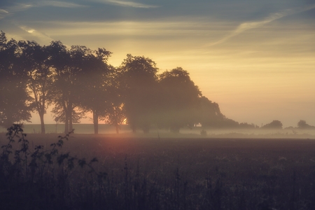 countryside  with fog in the morningの写真素材