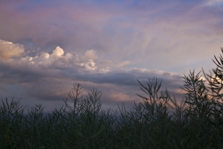 Dramatic sunsetの写真素材