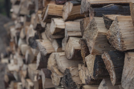 Pile of wood logs