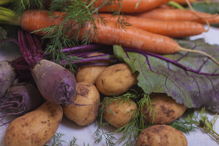 Organic foodの写真素材