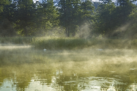 Lake at dawnの写真素材