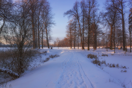 Winter Wonderland の写真素材