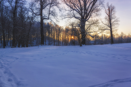 Winter Wonderland の写真素材