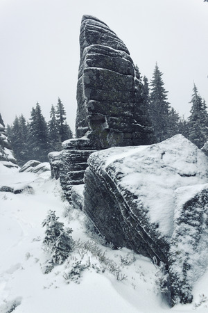 Winter in Karkonosze - Fog, frost nad snowの写真素材