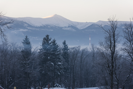 Winter Wonderland in the morningの写真素材