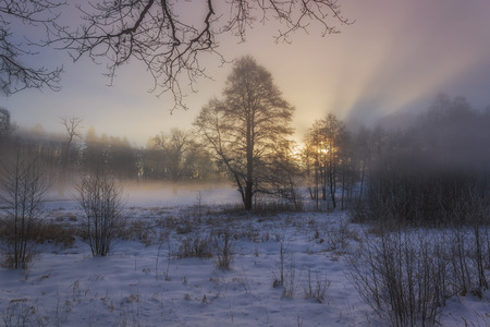 Winter Wonderland の写真素材