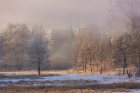 Winter Wonderland in the morningの写真素材