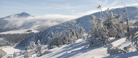 Winter landscape panorama of a Karkonosze mountainsの写真素材