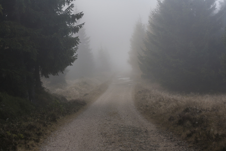 foggy landscape in the morningの写真素材