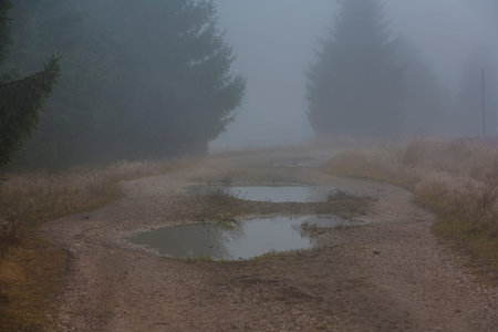 foggy landscape in the morning