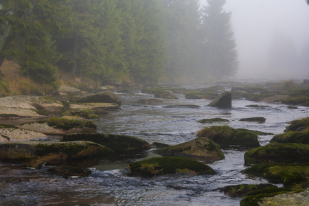foggy landscape in the morningの写真素材