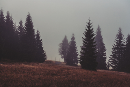 foggy landscape in the morningの写真素材