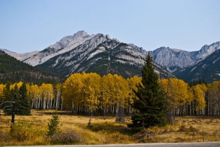 Canadaの写真素材