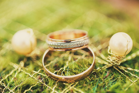 Wedding rings with two earrings on green grass closeupの写真素材
