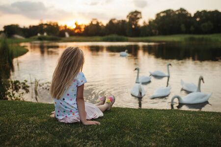 A little girl sits by the lake on the green grass at sunset on a summer day and looks at the olive sky, water and white swans swimming. Summer landscape with a child, beautiful white birds, trees の写真素材