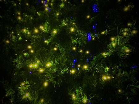 Christmas tree with lightの素材