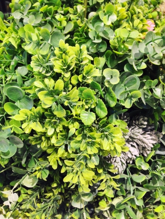 Plastic plant backgroundの素材