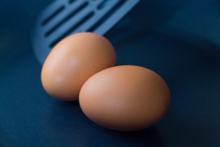 Eggs on panの写真素材