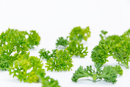 Fresh parsley isolated on white backgroundの写真素材