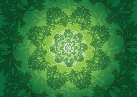 The fresh parsley abstract background vector illustrationのイラスト素材