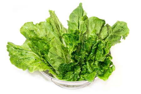 Organic vegetables Non-toxic vegetables Pesticide residue freeの写真素材
