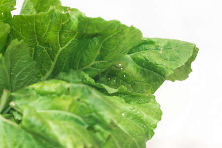 Organic vegetables Non-toxic vegetables Pesticide residue freeの写真素材