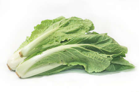 Organic vegetables Non-toxic vegetables Pesticide residue freeの写真素材